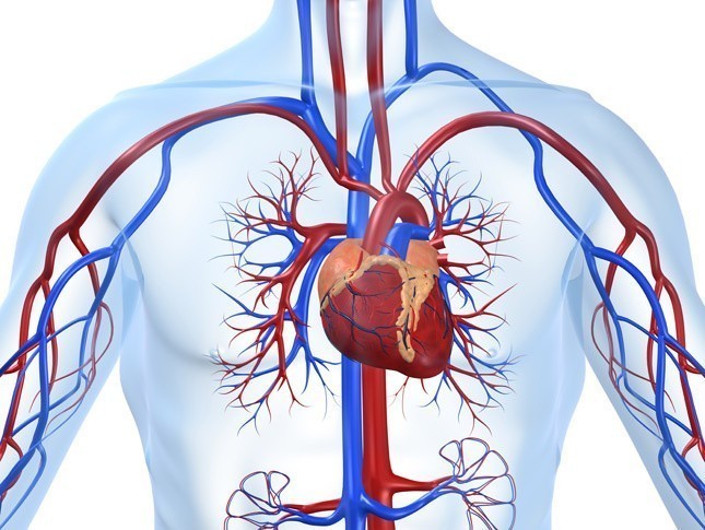 Аневризма аорты сердца