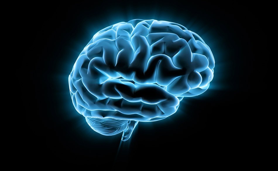 Сколько стоит МРТ головного мозга?