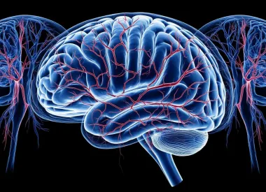 МРТ головного мозга, сосудов артерий и вен головного мозга в Тушино