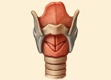 МРТ гортани в Тушино