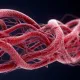 Закупорка кровеносных сосудов: особенности течения и лечения болезни